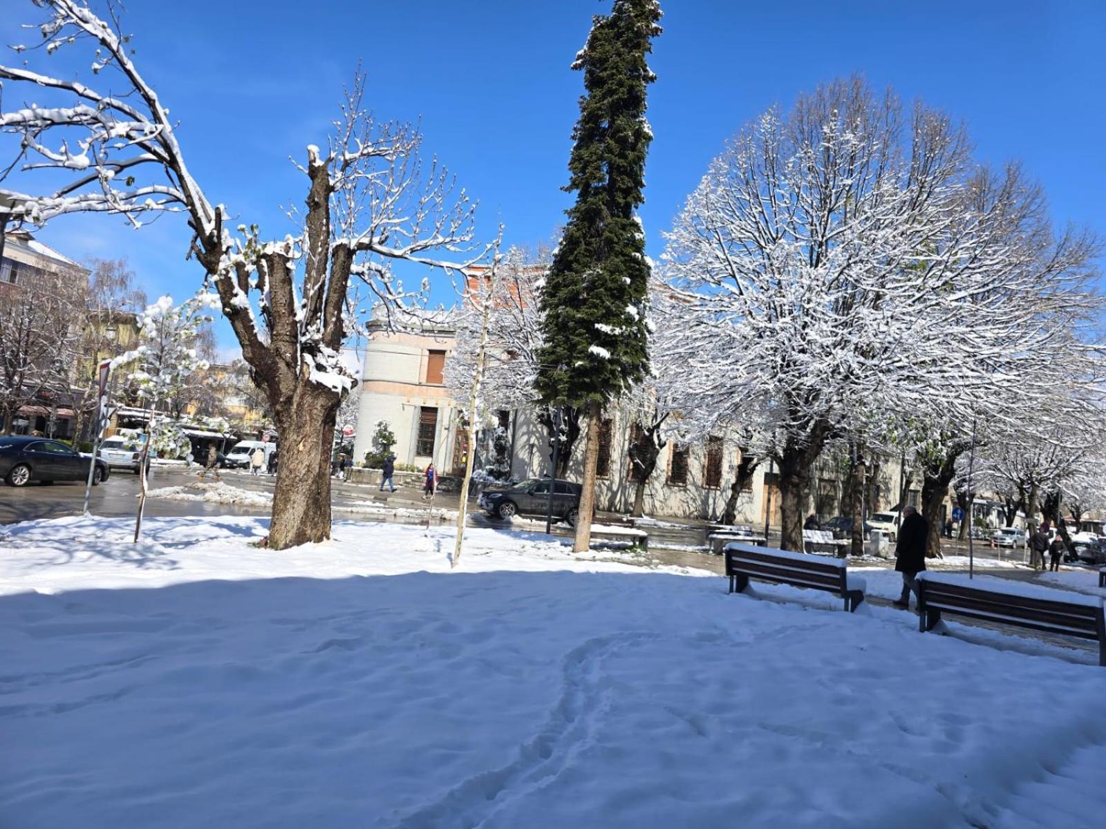 Vila Sonnet Корча Екстериор снимка